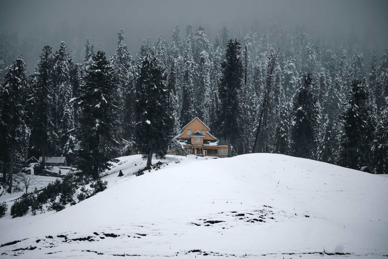 Gulmarg by escalekashmir.jpg