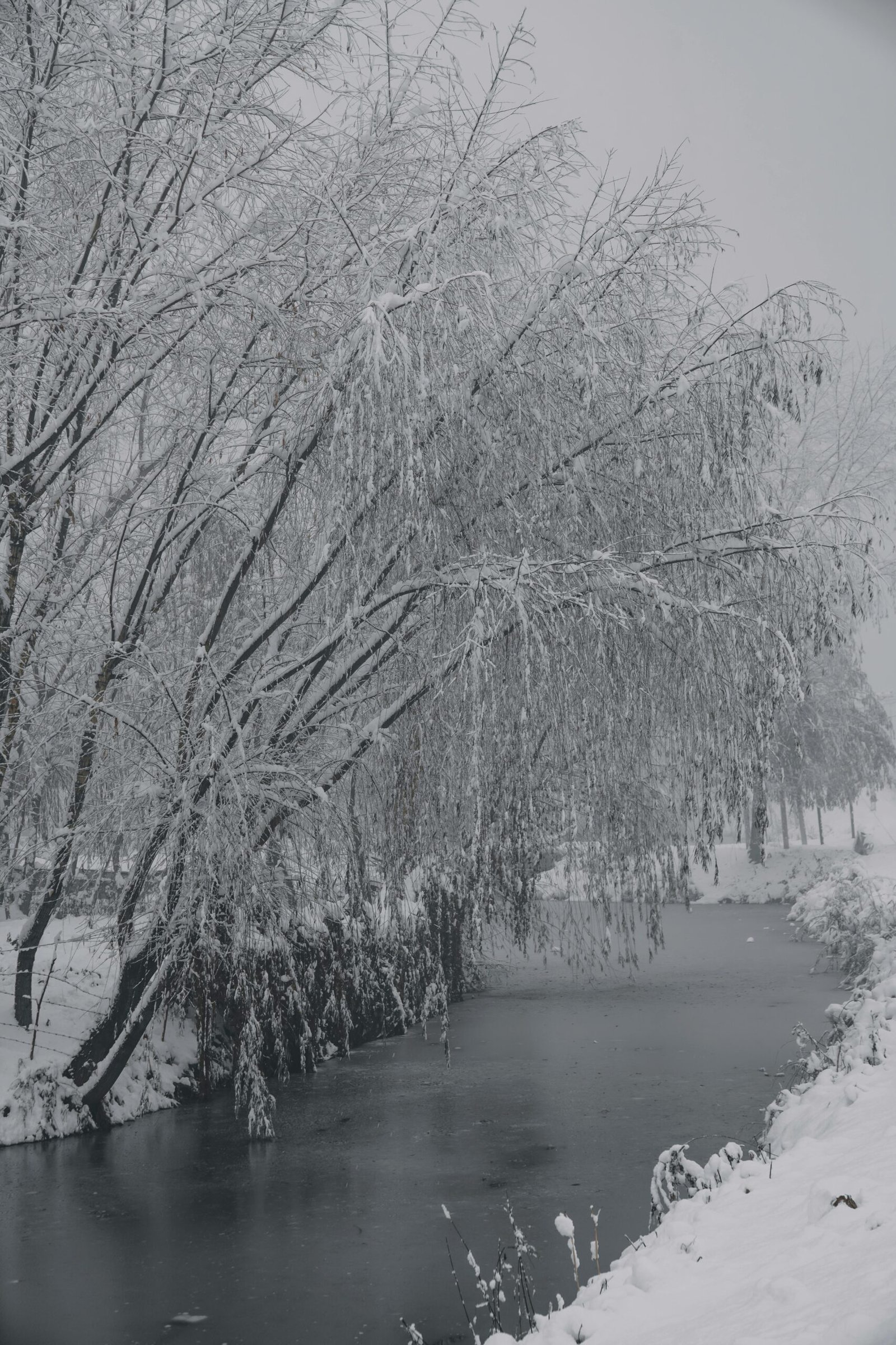 Escalekashmir Winter Getaway